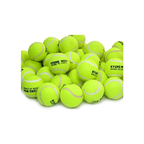 테니스공(연습구/학습교재용)